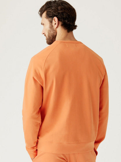 Pure Cotton Pullover Sweatshirt